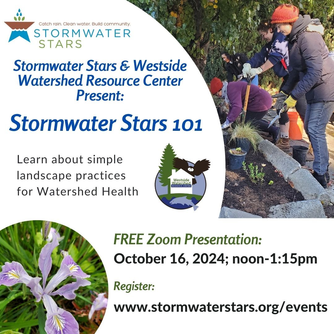 Stormwater Stars Flyer